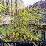 Rose Studio